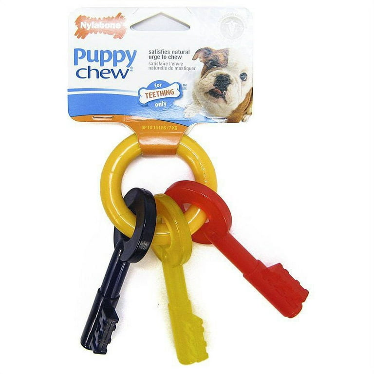 Nylabone Small Dog Toy Set - Xs : Target