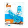 thumbnail image 1 of Nylabone Puppy Dental Dinosaur Chew Toy for Teething Puppies Chicken Small (1 Count), 1 of 13