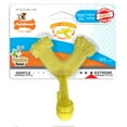 thumbnail image 1 of Nylabone Puppy Power Chew Axis Bone Nylon Chew Toy Vanilla Small (1 Count), 1 of 13