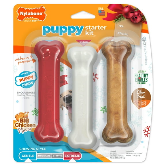 Nylabone Holiday Puppy Chew Starter Kit Chew Toys & Treat Chicken & Bacon Small (3 Count)
