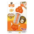 thumbnail image 1 of Nylabone Sneaky Snacker Dog Treat Toy Bacon Orange Medium (1 Count), 1 of 14