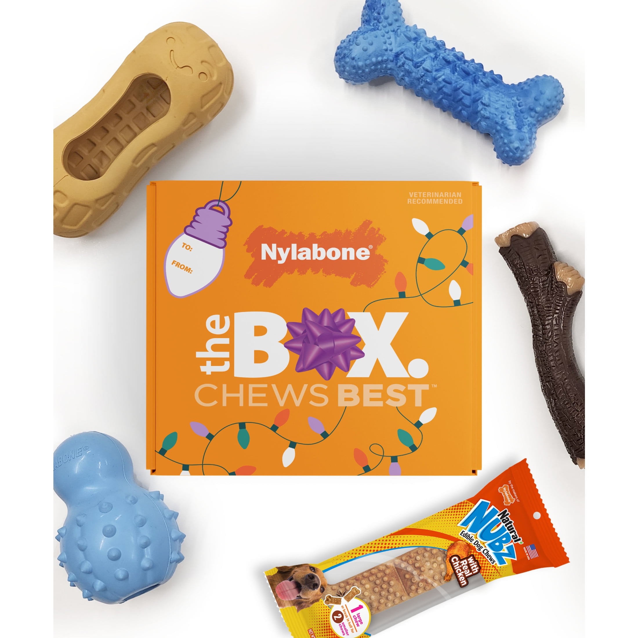 Nylabone Strong Chew Holiday Box - Small Chew Toys & Treat Gift Box Small/Regular - Up to 25 Ibs. (5 Count)