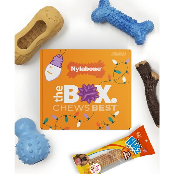 Nylabone Strong Chew Holiday Box - Small Chew Toys & Treat Gift Box Small (5 Count)