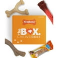 thumbnail image 1 of Nylabone The Box - Chew Toys & Treat Dog Gift Box Variety Large (4 Count), 1 of 11