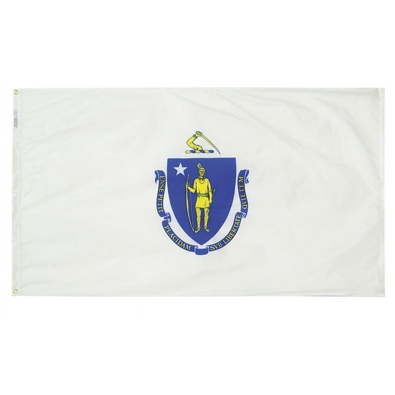 Nylglo Massachusetts State Flag,3x5 Ft 142460