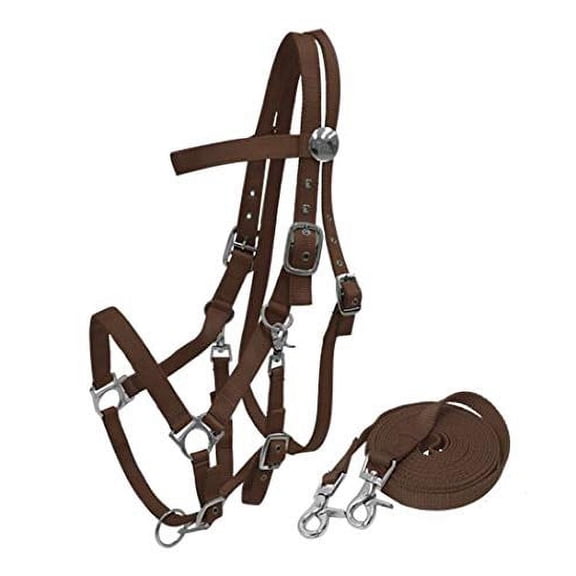Nylon Combination Halter Bridle w/ Reins (Brown)