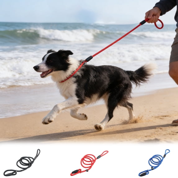 Nylon Dog Leash with Adjustable Loop, Pull Proof Design for Small to Medium Dogs, Comfortable Padded Handle, Multiple Colors and Sizes for Walking and Training