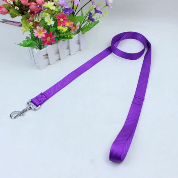 Nylon Dog Leash Obedience Recall 4 Foot Feet Training Lead - Purple 1 Inch Wide