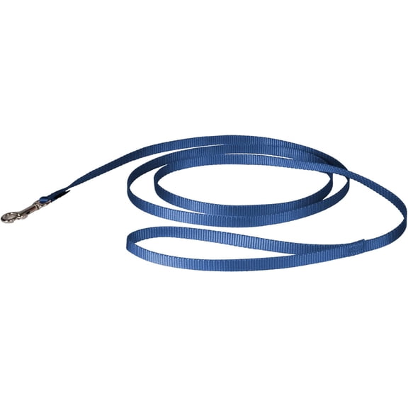 Nylon Dog Leash Strong, Durable, Traditional Style Lead with Easy to Use Bolt Snap for Small, Medium and Large Dogs 3/8" x 6', Royal Blue