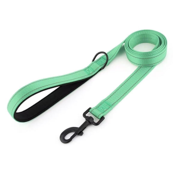 Nylon Double Padded Handle Dog Leash With Reflective Stitching Traffic Control Walking Lead for Medium Large Dogs Training Night Outdoor Walks(Mint Green-180cm)
