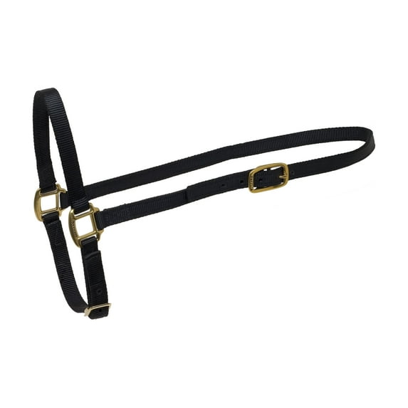 Nylon Grooming Halter - Horse - Black