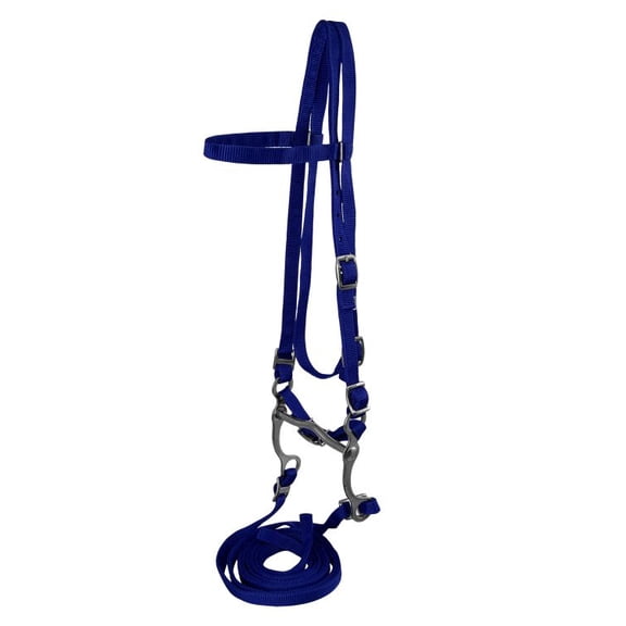 Horse Size Nylon Headstall w/ Bit & Reins (Blue)