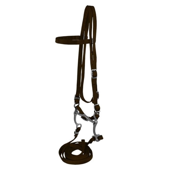 Horse Size Nylon Headstall w/ Bit & Reins (Brown)