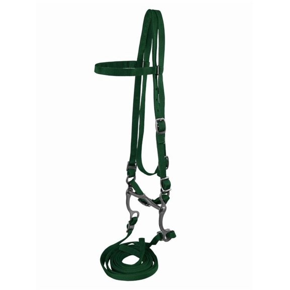 Horse Size Nylon Headstall w/ Bit & Reins (Green)