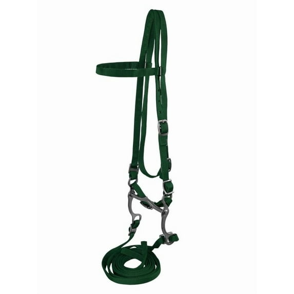 Pony Nylon Headstall w/ Bit & Reins (Green)