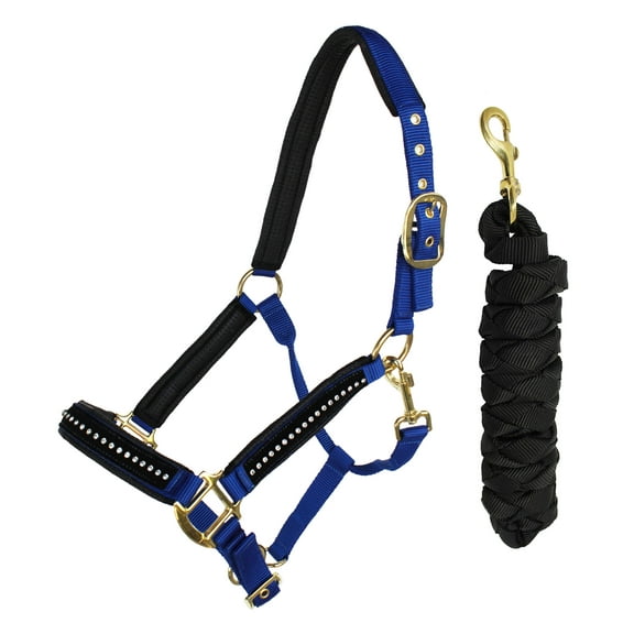 Nylon Horse Neoprene Padded Blue Nylon Halter Brass Hardware Rhinestones 606172RB