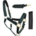 thumbnail image 1 of Nylon Horse Neoprene Padded Halter Brass Hardware Horse Tack Equine 606173, 1 of 4