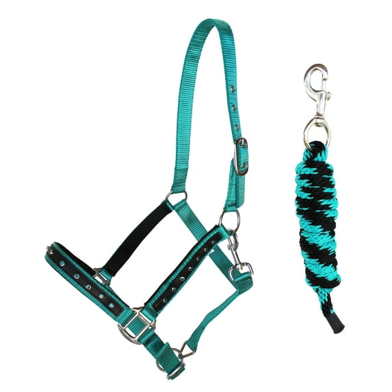 Nylon Horse Nylon Padded Halter with SS Hardware Lead Rope Tack 606162TL