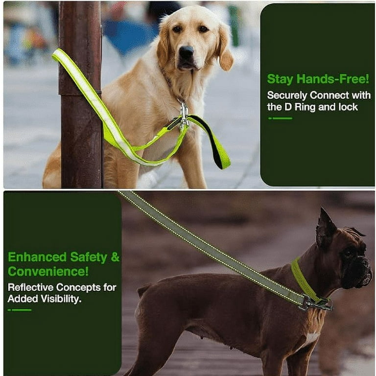 Dog leash light clearance for night walks