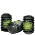 thumbnail image 1 of Nylon Patch Socket Set Screw Flat Point, 1/4-20 x 1", Alloy Steel, Black Oxide, Hex Socket (Quantity: 100), 1 of 1