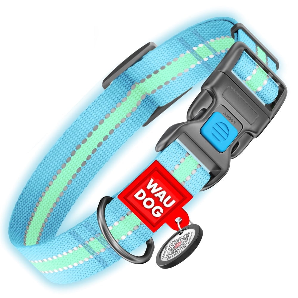 Nylon Reflective Dog Collar | Adjustable Dog Collar for Large, Small & Medium Dogs | Personalized Soft and Fashion Patterns Dog Collars | Boy & Girl Dog Collars with Durable Plastic Buckle - Blue