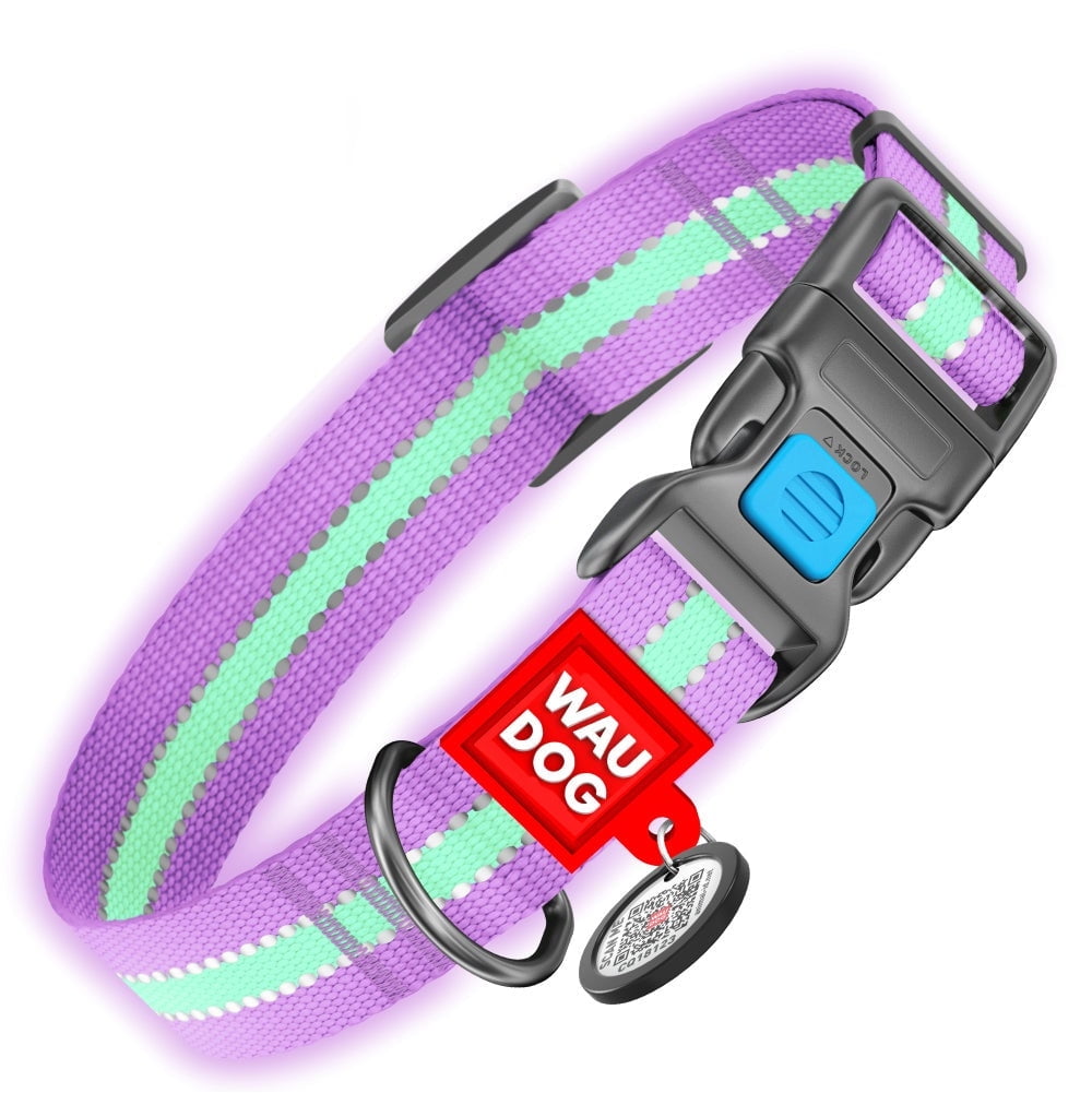 Nylon Reflective Dog Collar | Adjustable Dog Collar for Large, Small & Medium Dogs | Personalized Soft and Fashion Patterns Dog Collars | Boy & Girl Dog Collars with Durable Plastic Buckle - Purple