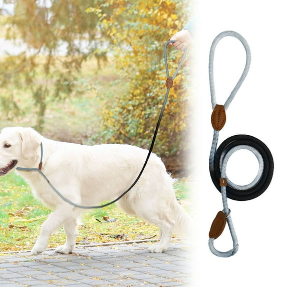 Nylon Rope Dog Leash & Harness Kit, Adjustable Walking Vest with Traction Strap 1 Piece, Comfortable Outdoor Gear for Medium Dogs 0.3 Inch