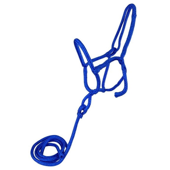 Nylon Rope Shipping Halter w/ Lead (Blue)