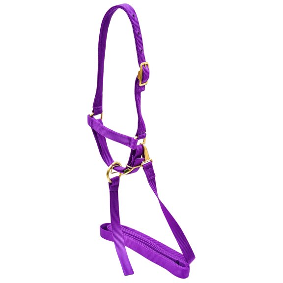 Nylon Sheep Halter by Jeffers, 3/4"