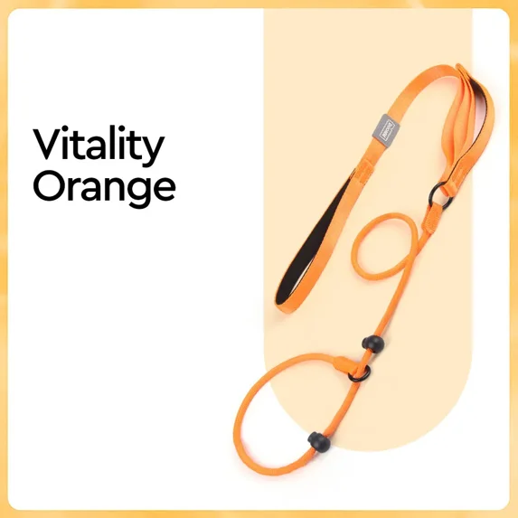 Nylon Slip Lead Dog Slip Leash and Collar Dog Training Leash with Double Handle Heavy Duty Dog Lead No Pull Puppy Walking Leash (Orange,170cm x 0.6cm)