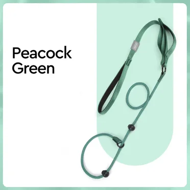 Nylon Slip Lead Dog Slip Leash and Collar Dog Training Leash with Double Handle Heavy Duty Dog Lead No Pull Puppy Walking Leash (green,170cm x 0.6cm)