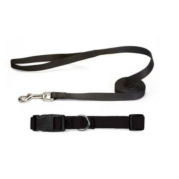 Nylon Solid Color Dog Collar and Lead 2 Piece Sets Durable Adjustable Selections (Black,Small)