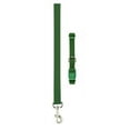 thumbnail image 1 of Nylon Solid Color Dog Collar and Lead 2 Piece Sets Durable Adjustable Selections (Green,xSmall), 1 of 1