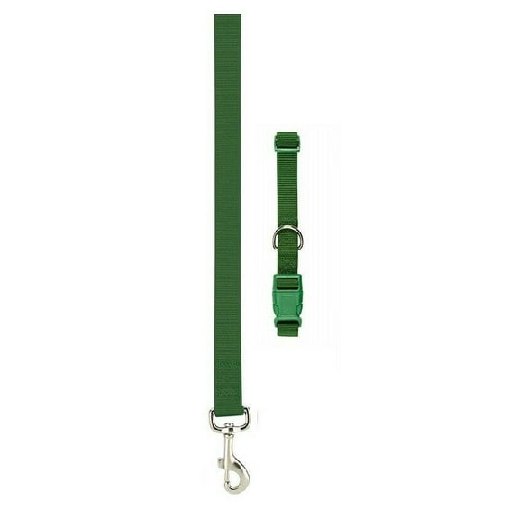 Nylon Solid Color Dog Collar and Lead 2 Piece Sets Durable Adjustable Selections (Green,xSmall)