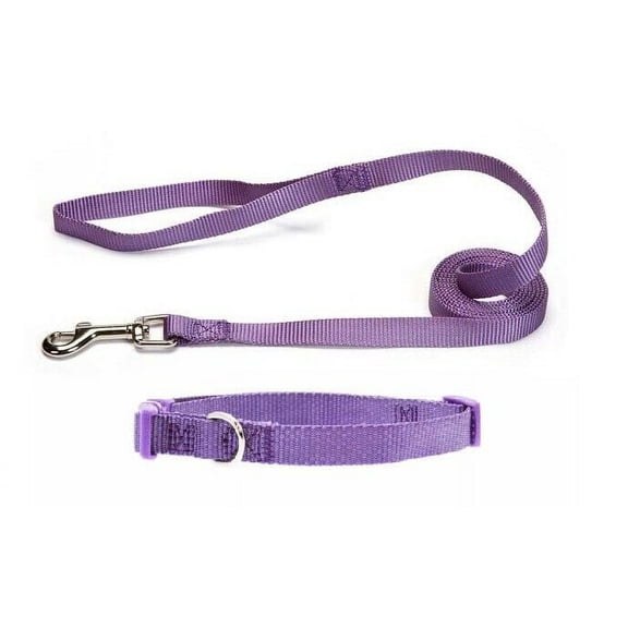 Nylon Solid Color Dog Collar and Lead 2 Piece Sets Durable Adjustable Selections (Plum,Large)
