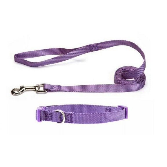 Nylon Solid Color Dog Collar and Lead 2 Piece Sets Durable Adjustable Selections (Plum,Medium)