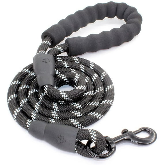 5 FT Nylon Dog Leash, Slip Lead Dog Leash Padded Handle for Small Medium and Large Dogs