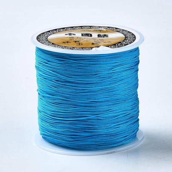 Nylon Thread Chinese Knotting Cord Dodger Blue 0.4mm about 174.98 Yards(160m)/Roll