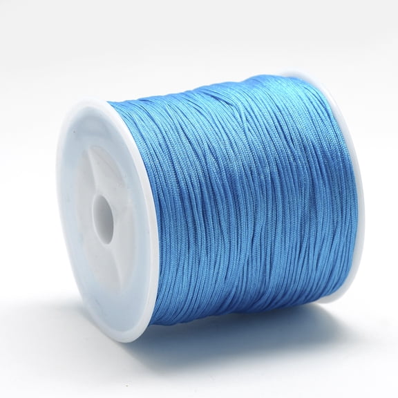 Nylon Thread Chinese Knotting Cord Dodger Blue 1mm about 284.33 yards(260m)/roll 1roll