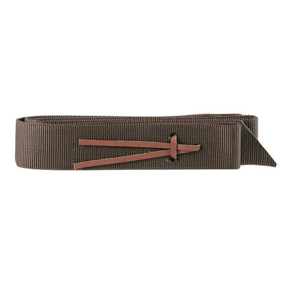 Nylon Tie Strap 2" X 6' - Black