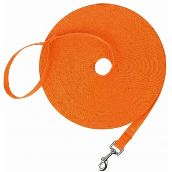 Nylon Training Dog Leash for Small Medium Dogs,20ftReflective Long Leash Dog/Puppy Lead for Obedience Recall Training, Camping