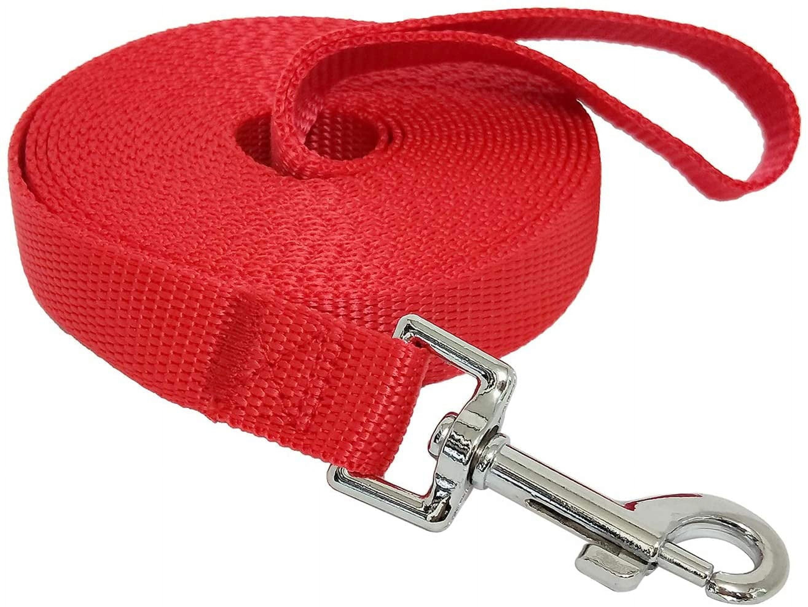 Nylon Cord Danger To Dogs Reference: Walmart Nylon Dog Training Leash Lightweight For Small To Large