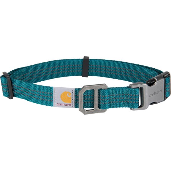 Nylon Webbing Dog Collar, Fully Adjustable W/Durable Side Release Buckle, Shaded Spruce, Lar