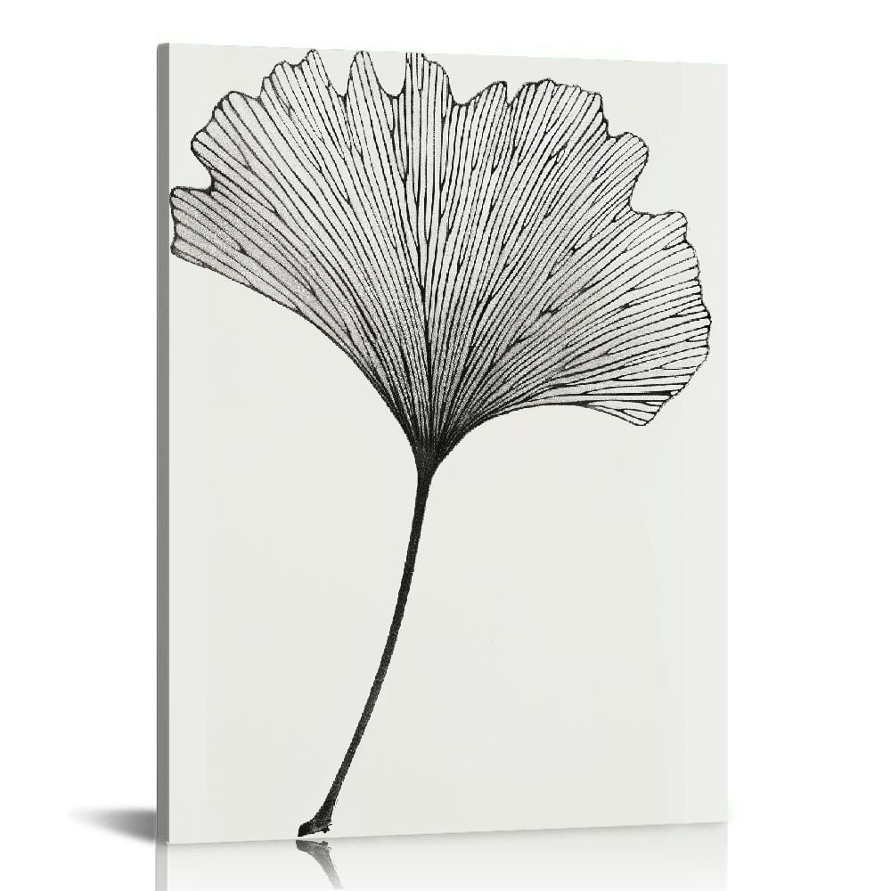 Ginkgo Leaf Black and White Botanical Print in Oak Frame