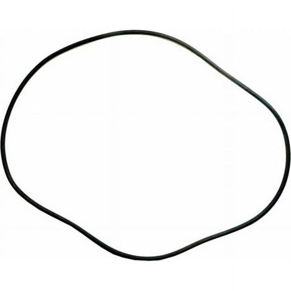 O-10624 in. Tank O-Ring Swimquip
