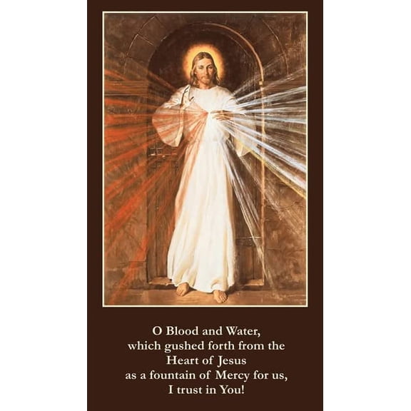 O Blood and Water Divine Mercy Holy Card (10-pack) with Two Prayer Cards Included