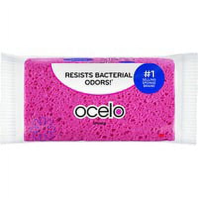 Scotch-Brite Large StayFresh Sponge - 1.6 Scotch-Brite Large StayFresh Sponge - 1.6