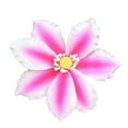 thumbnail image 1 of O'Creme Gumpaste Flower 3.5 - 4 Inch, Set of 3 White-&-Pink Clematis, 1 of 1