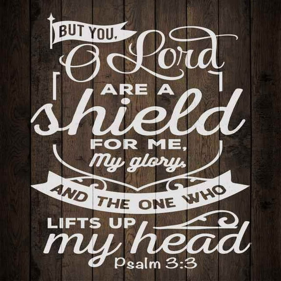 O Lord You are a Shield, Psalm Scripture Rustic Looking Faith Wood Wall Décor 8 x 8 Wood Sign B3-08080061086