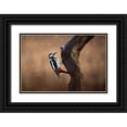 thumbnail image 1 of O Mahony, Kieran 32x23 Black Ornate Wood Framed with Double Matting Museum Art Print Titled - Woodpecker In The Rain, 1 of 4